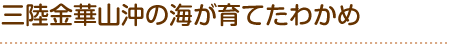 三陸金華山沖が育てたわかめ